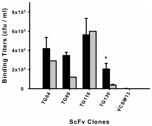 Monoclonal scFv binding titers to T. gondii tachyzoites and HFF.