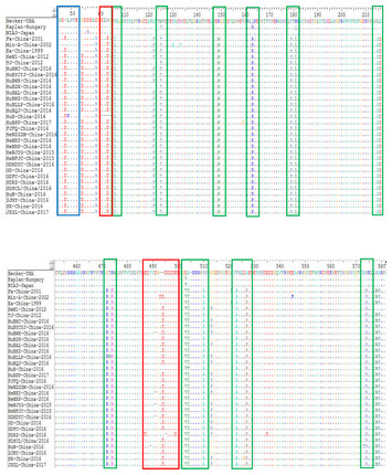 Epidemiological and genetic characteristics of swine pseudorabies virus ...