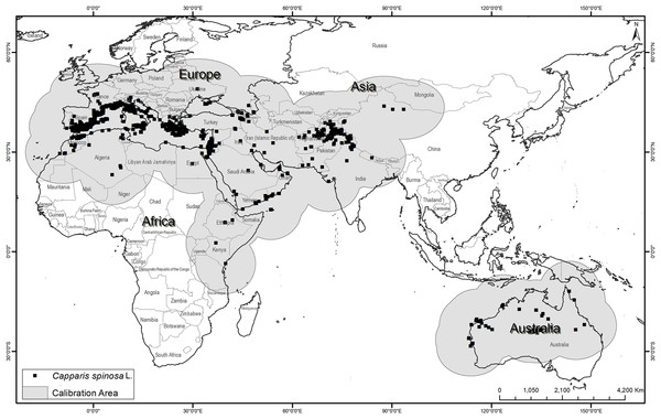 Known occurrences of Capparis spinosa L. worldwide used in model calibration.