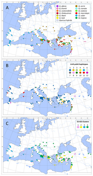 Geographic representation of the investigated dataset and its molecular signatures.
