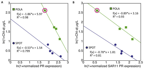 Negative correlation between proteorhodopsin (PR) expression and Chlorophyll—a at POLA and SPOT.