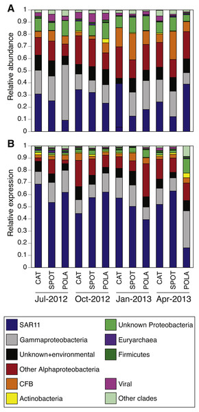 Relative abundance of various proteorhodopsins clusters (PR) out of all PR-assigned reads per sample.