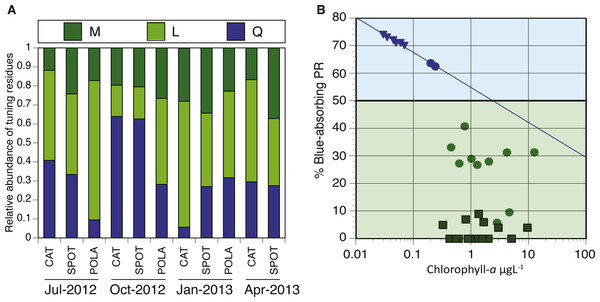 Spectral tuning of rhodopsins in our dynamic system and a comparison to previous studies.