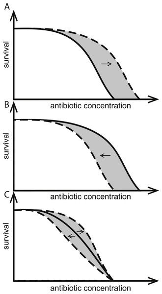 Effects of herbicides on bacterial responses to antibiotics.