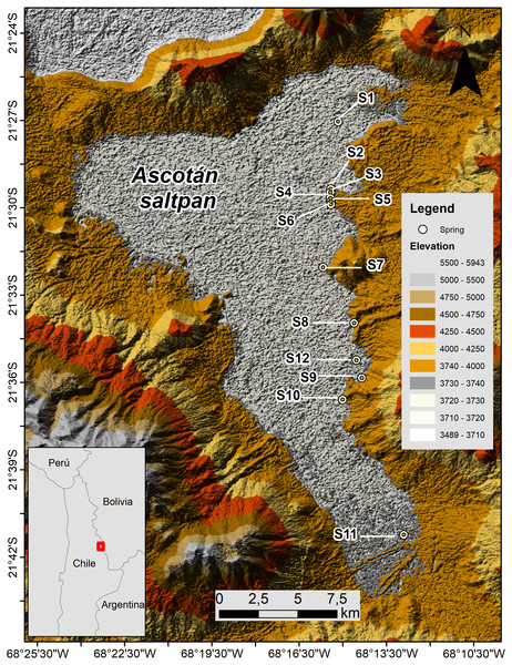 Map of Ascotán saltpan.