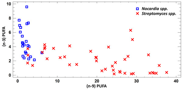 Assessment of (n − 9) and (n − 3) content of PUFA in cultural liquids of Nocardia and Streptomyces.