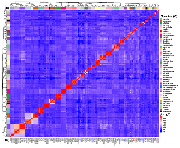 Heat map of the Average Nucleotide Identity (ANI) analysis of the 269 strains from Staphylococcus spp.