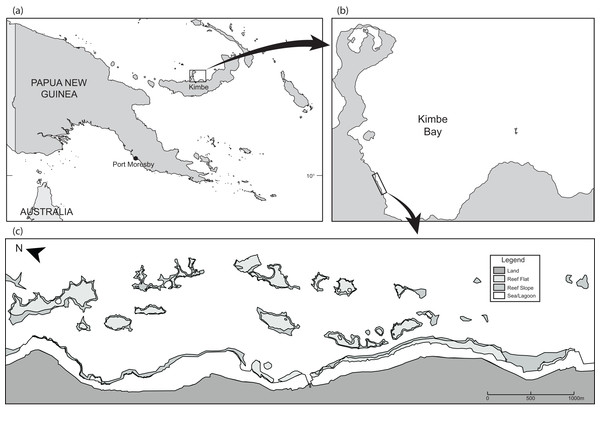 Maps showing (A and B) the location of Kimbe Bay and (C) the 19 inshore reefs.