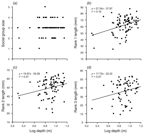 Relationships between log depth and (A) social group size, (B) rank 1 length, (C) rank 2 length, (D) rank 3 length.