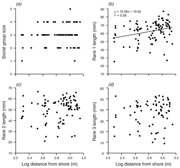 Relationships between log distance from shore and (A) social group size, (B) rank 1 length, (C) rank 2 length, (D) rank 3 length.