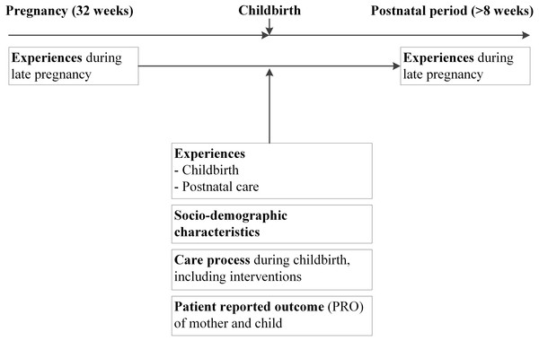 Framework of analyses to determine the association of the antenatal experiences measured during pregnancy and after childbirth.
