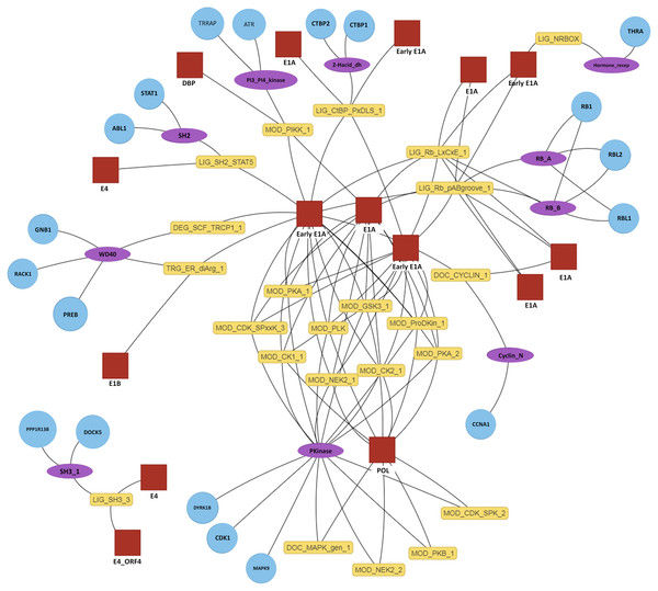 Interactive predicted DMI network for example data.
