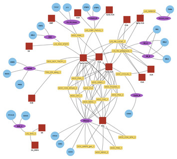 SLiMEnrich: computational assessment of protein–protein interaction ...