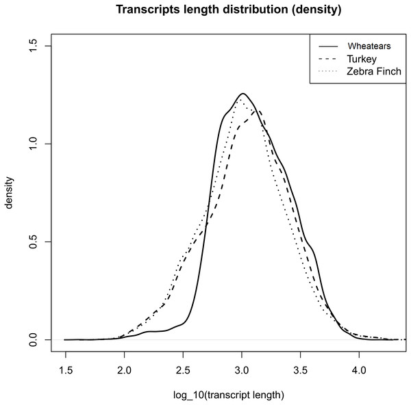 Transcript length distribution of O. oenanthe, M. gallopavo and T. gutatta, references used for the wheatear’s transcriptome annotation.