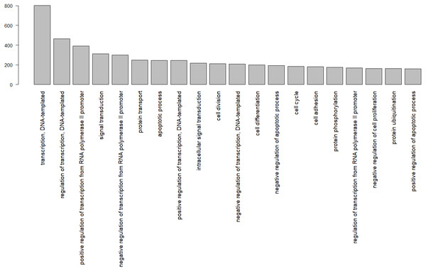 Gene ontology terms shared by at least 100 genes, identified by their Uniprot IDs in the wheatear transcriptome.