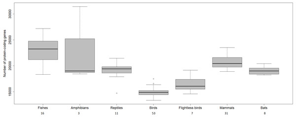 Number of protein-coding genes estimated for different vertebrates.