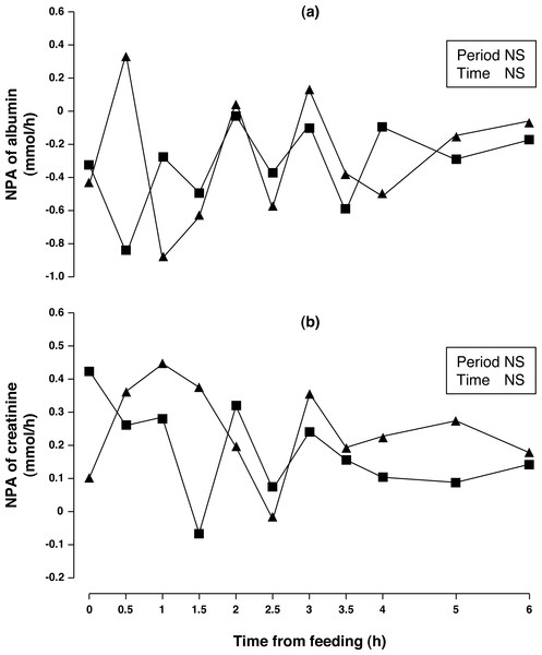 Net portal appearance (NPA) of albumin (A) and creatinine (B) along a 6 h sampling in Iberian pigs (n = 6) fed acorns for 1 and 8 days (period 1 (■) and 2 (▴), respectively).