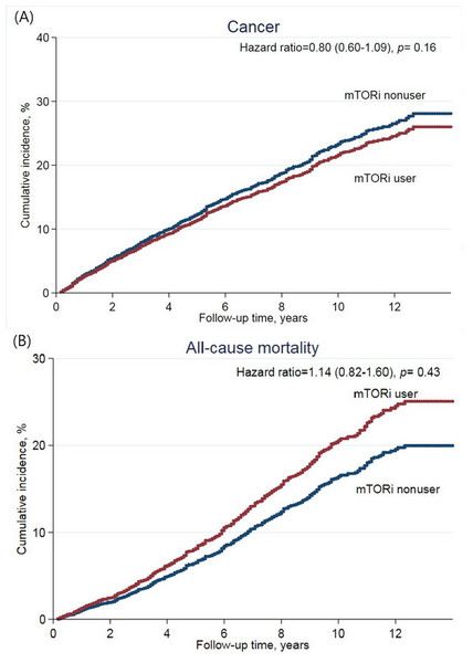 Cumulative incidence of (A) de novo cancer development, and (B) all-cause mortality after kidney transplantation according to mTOR inhibitor treatment.
