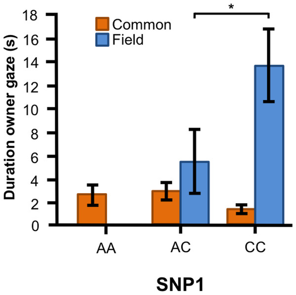 Associations between SNP1 and behaviors in Labrador retrievers.