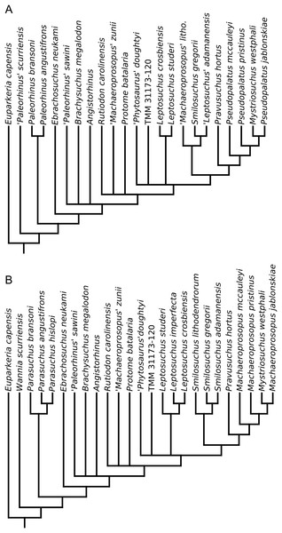 Phylogenetic trees from the analyses of (A) Butler et al. (2014); (B) Kammerer et al. (2015).