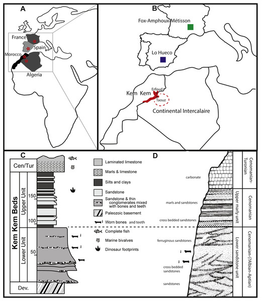 Geological setting of Kem Kem beds, Morocco, and Continental Intercalaire, Algeria.