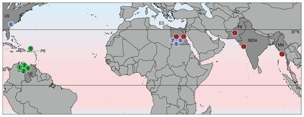 Geographic distribution of stereogenyines.