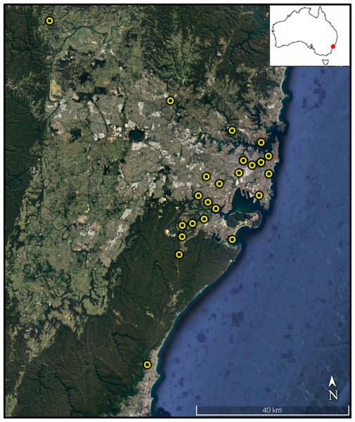 Colony sampling locations within Sydney region.