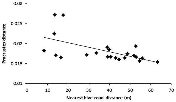 Relationship between wing shape (Procrustes distance) and nearest colony road distance. Colony-road-distance was the same in both 500 m and three km buffers.