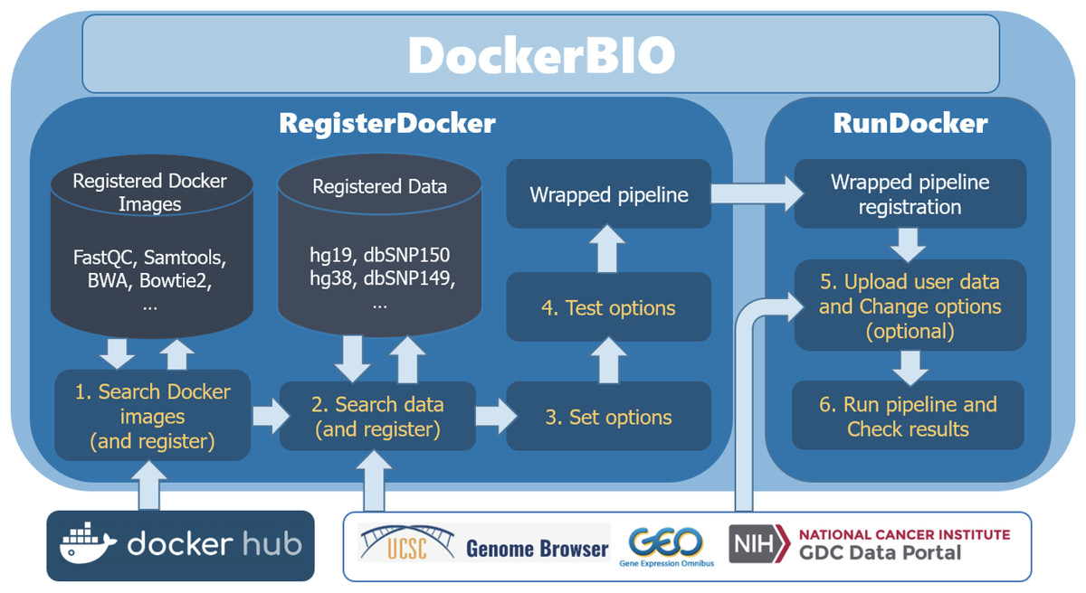 DockerBIO: for efficient use of bioinformatics Docker