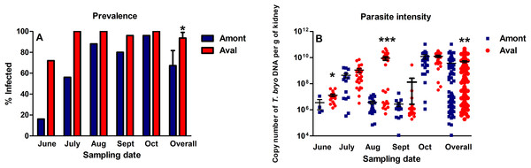 Proliferative kidney disease dynamics observed in infected fish sampled at the Amont and Aval step.