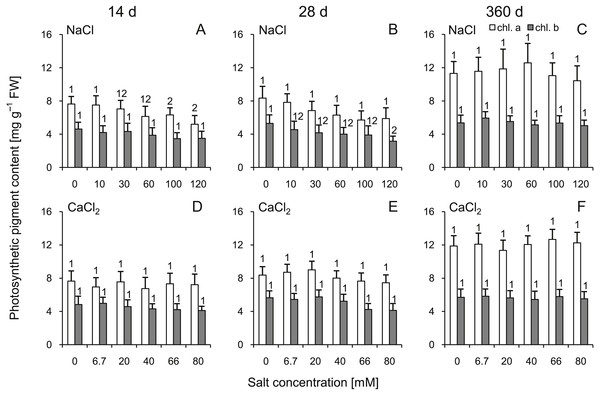 Effects of saline stress on the content of photosynthetic pigments (chlorophyll a and b) in the leaves from the silver maple seedlings exposed to different salinity levels (NaCl or CaCl2) after 14 (A, D), 28 (B, E) and 360 (C, F) days.