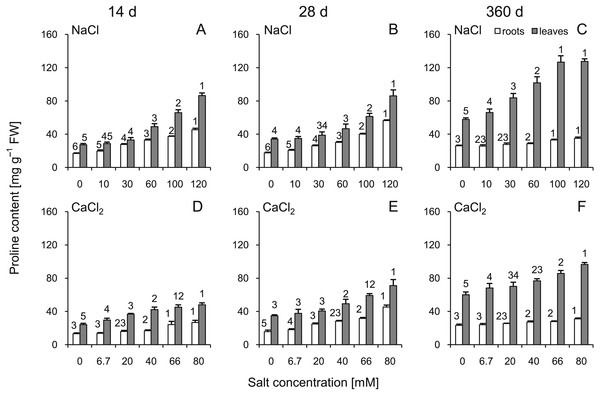 Effects of saline stress on the content of proline in the roots and leaves from the silver maple seedlings exposed to different salinity levels (NaCl or CaCl2) after 14 (A, D), 28 (B, E) and 360 (C, F) days.