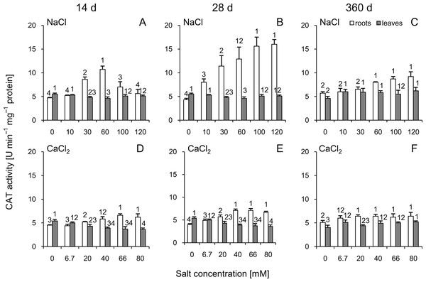 Effects of saline stress on the catalase (CAT) activities in the roots and leaves from the silver maple seedlings exposed to different salinity levels (NaCl or CaCl2) after 14 (A, D), 28 (B, E) and 360 (C, F) days.