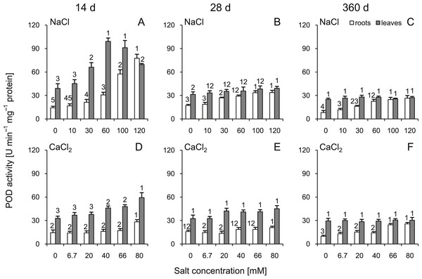 Effects of saline stress on the peroxidase (POD) activities in the roots and leaves from the silver maple seedlings exposed to different salinity levels (NaCl or CaCl2) after 14 (A, D), 28 (B, E) and 360 (C, F) days.