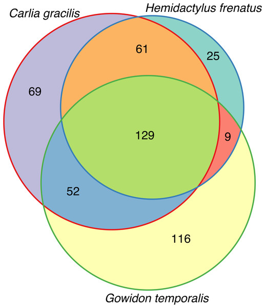 Venn diagram of core OTUs (100% presence) on three lizard species.