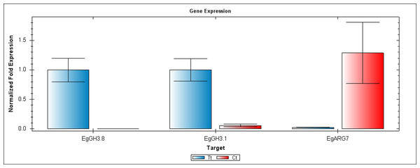QRT-PCR comparisons of EgGH3.8, EgFH3.1 and EgARG7 expression between Inflo.6T/WA (Tt) and Inflo.2C/NA1 (Ct).