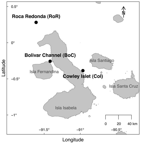 Map of the sampling sites at Cowley Islet (CoI), Roca Redonda (RoR), and Bolivar Channel (BoC) around the Galapagos Islands.