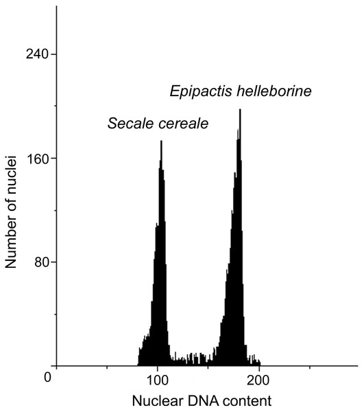 Histograms of nuclear DNA contents of E. helleborine.