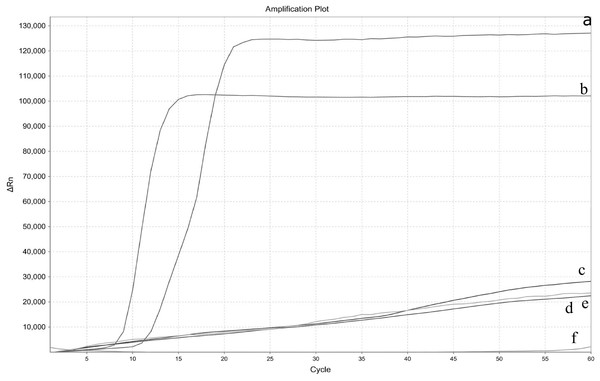 Specificity test of the real-time LAMP for Enterocytozoon hepatopenaei.