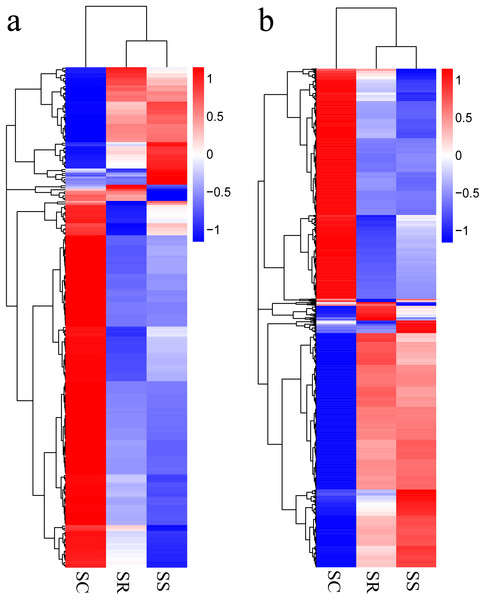 (A) A hierarchical heat map showing the expression value for mRNAs; (B) A hierarchical heat map showing the expression value for lncRNAs.