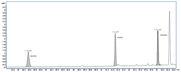 Total ion current chromatogram of silylation derivatives of the exudate droplets.
