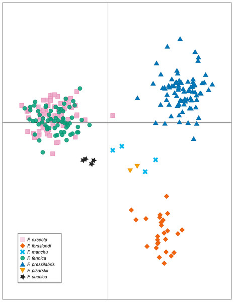 Discriminant analysis of principal components (DAPC) of the microsatellite data of seven Coptoformica species with 24 principal components included.