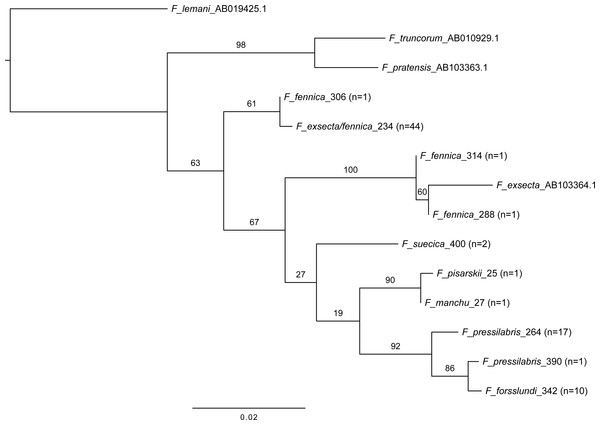 Maximum likelihood tree of COI barcodes of seven Coptoformica species and three additional Formica species.