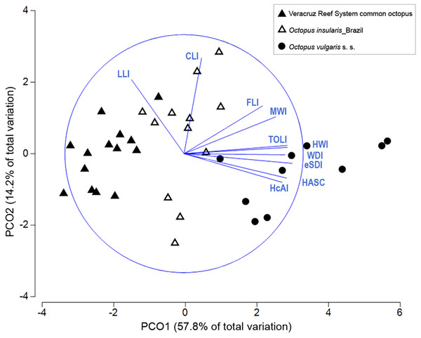 Principal coordinate ordination (PCO) plot of morphological traits.