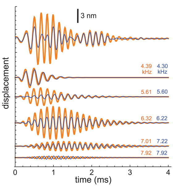 Impulse responses from the chinchilla, obtained without suppression (orange) and in the presence of 30 dB of Gaussian noise (blue).