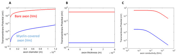 Dependency of Vm on the biophysics properties of the axon.