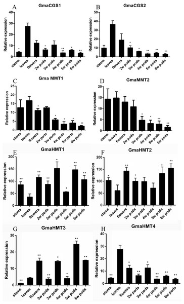 Expression of the GmaCGS, GmaMMT and GmaHMT genes during soybean development.