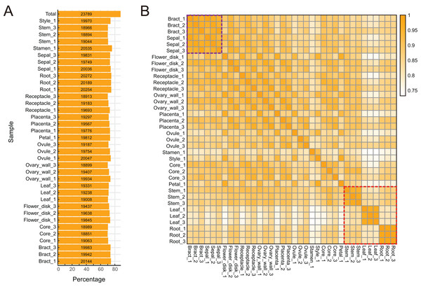 Global gene expression patterns in different tissues of pineapple.
