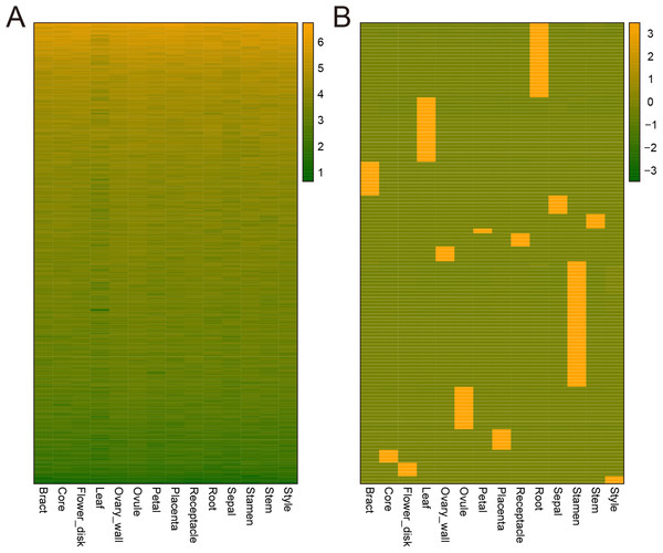 Heatmap of consititutive and tissue-specific genes.