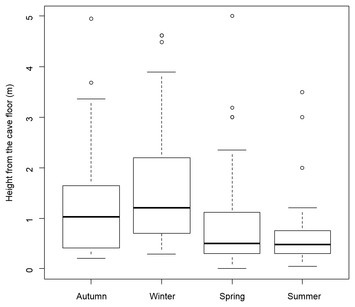 Ecology and life history of Meta bourneti (Araneae: Tetragnathidae ...